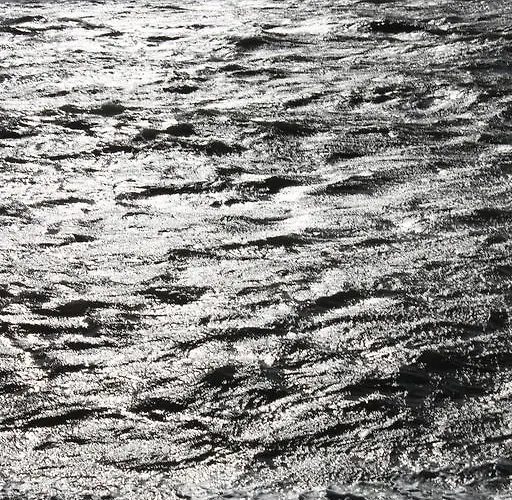 Kleine Seenadel * Dornumersiel